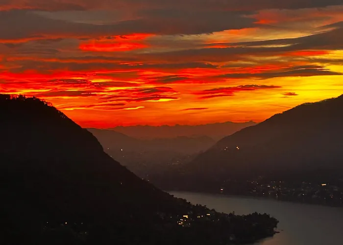 Mamo's Belvedere By Solutions