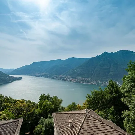 Mamo's Belvedere By Solutions